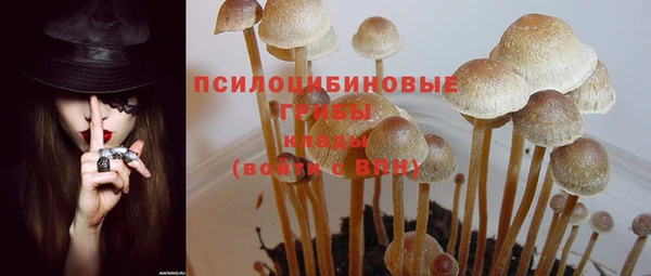 дживик Коряжма