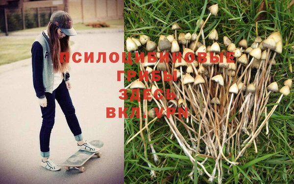 дживик Коряжма