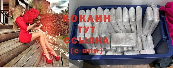 прущий лед Костерёво